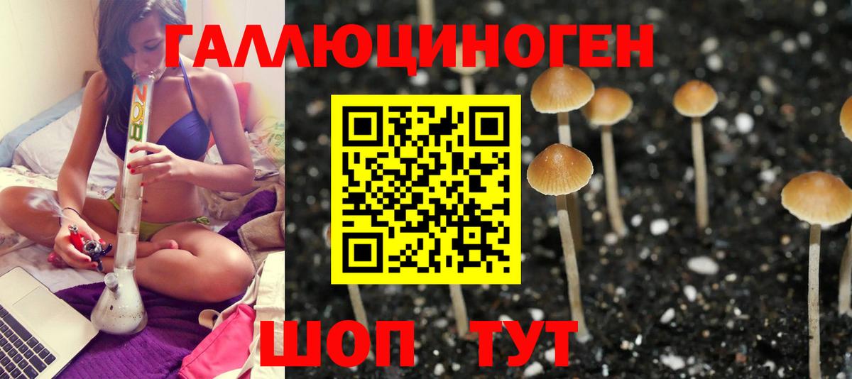 Галлюциногенные грибы MAGIC MUSHROOMS  купить   Обь  Вход с VPN 