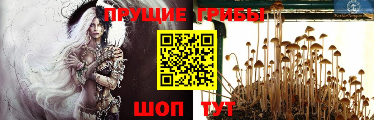 ГАШИШ  КОКАИН  Конопля  МЕФ кристаллы  Обь  Вход с VPN 