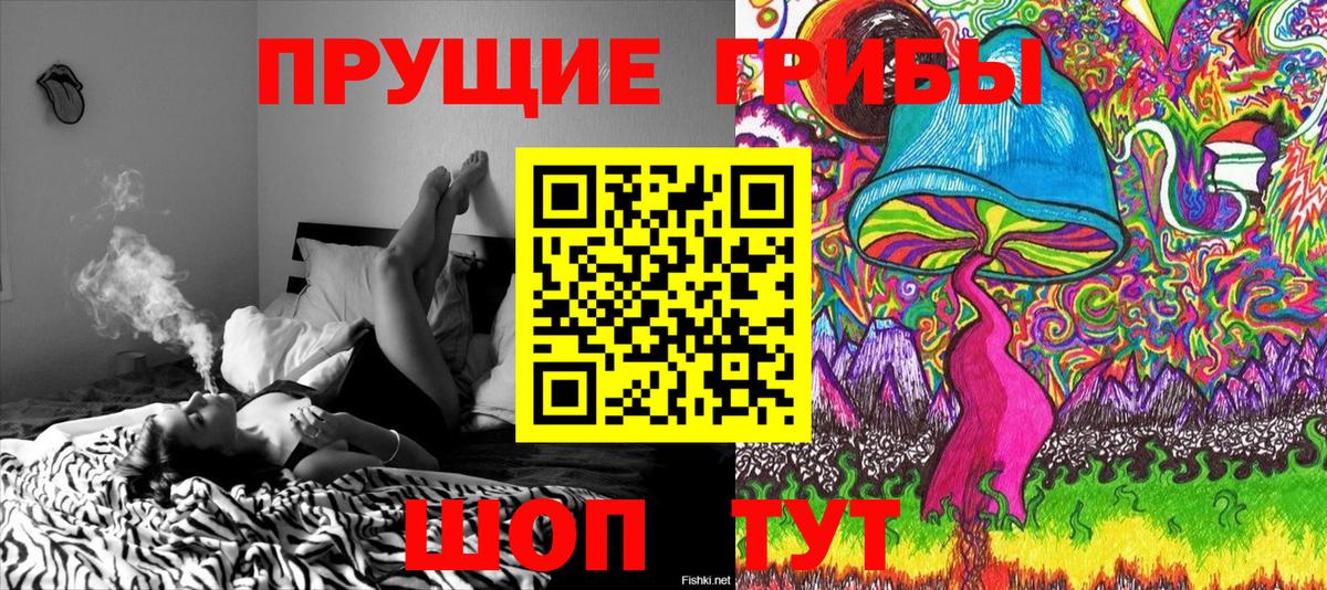 Псилоцибиновые грибы прущие грибы Обь