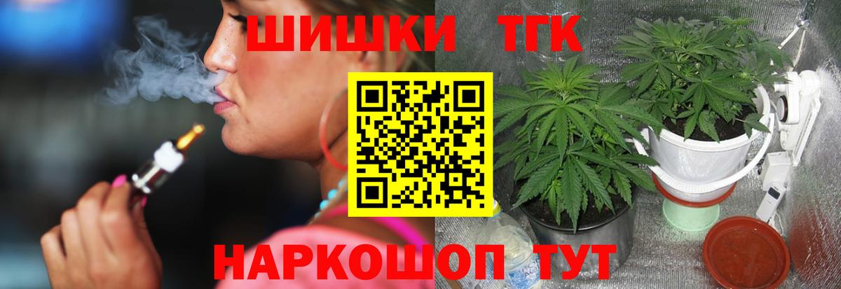 Конопля сатива Обь